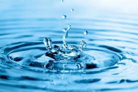 Newsletter n°20 - Mars 2020 - Spéciale Journée mondiale de l'eau
