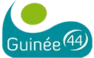 LOGO GUINEE 85p